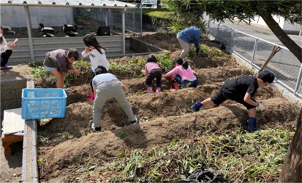コミュニティガーデン許可制度（市営住宅敷地内での共同菜園作り）